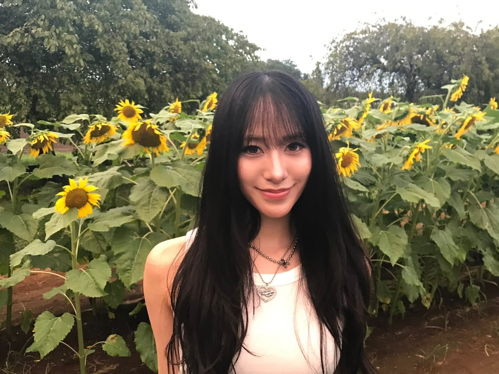 English student working towards natural fluency